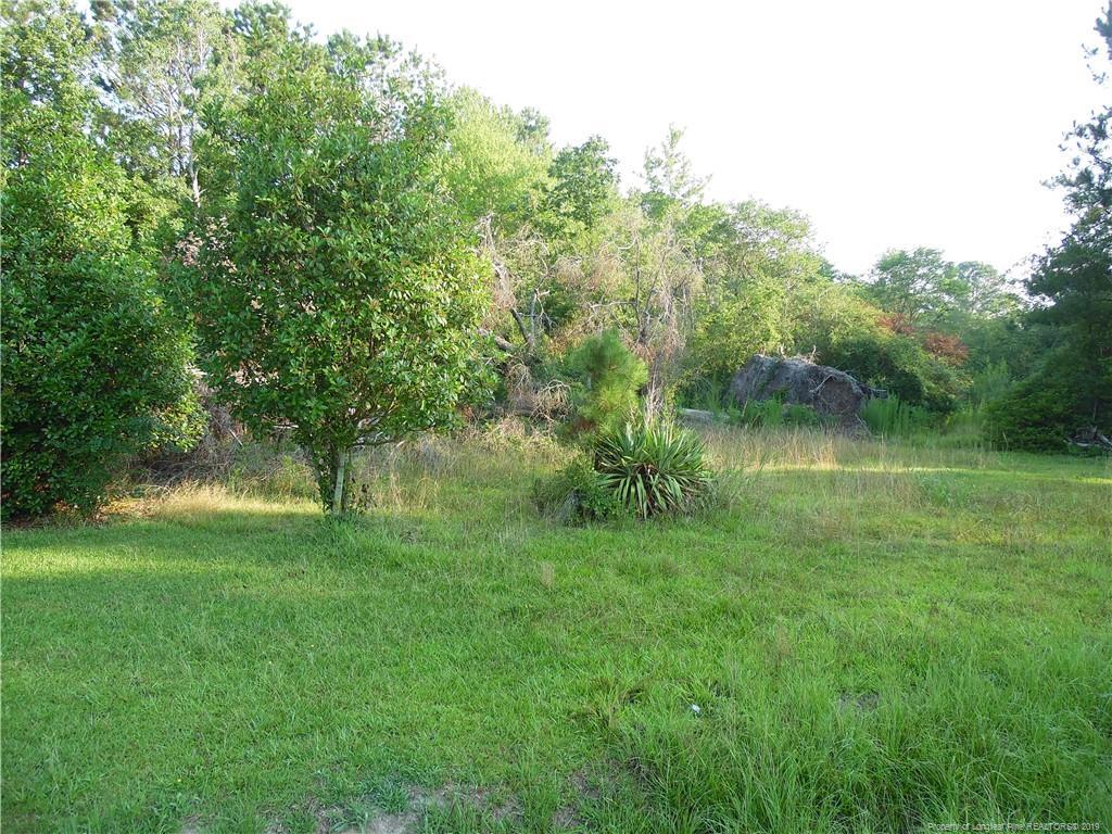 216 Forte Road - Photo 1