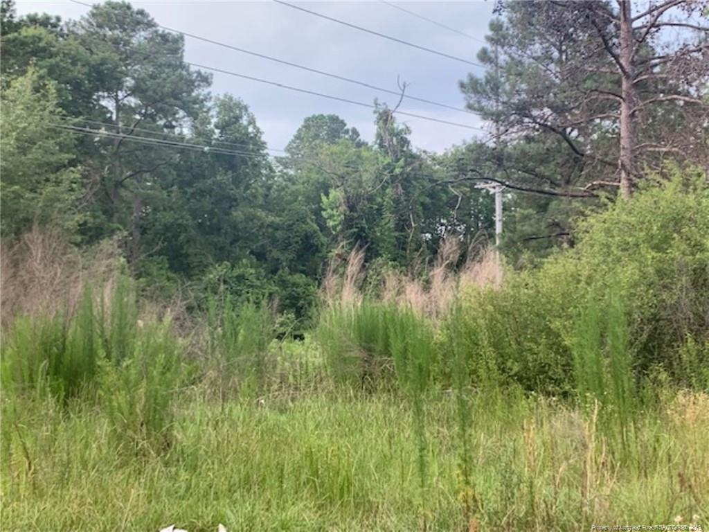 4861 Grays Creek Church Road - Photo 1