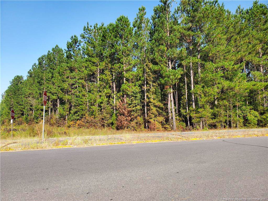 Hwy 210 - Photo 1