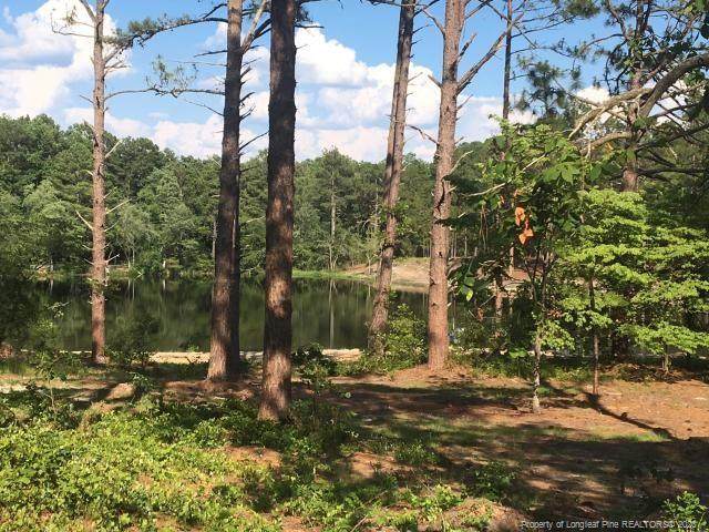 4135 Carthage Road - Photo 1