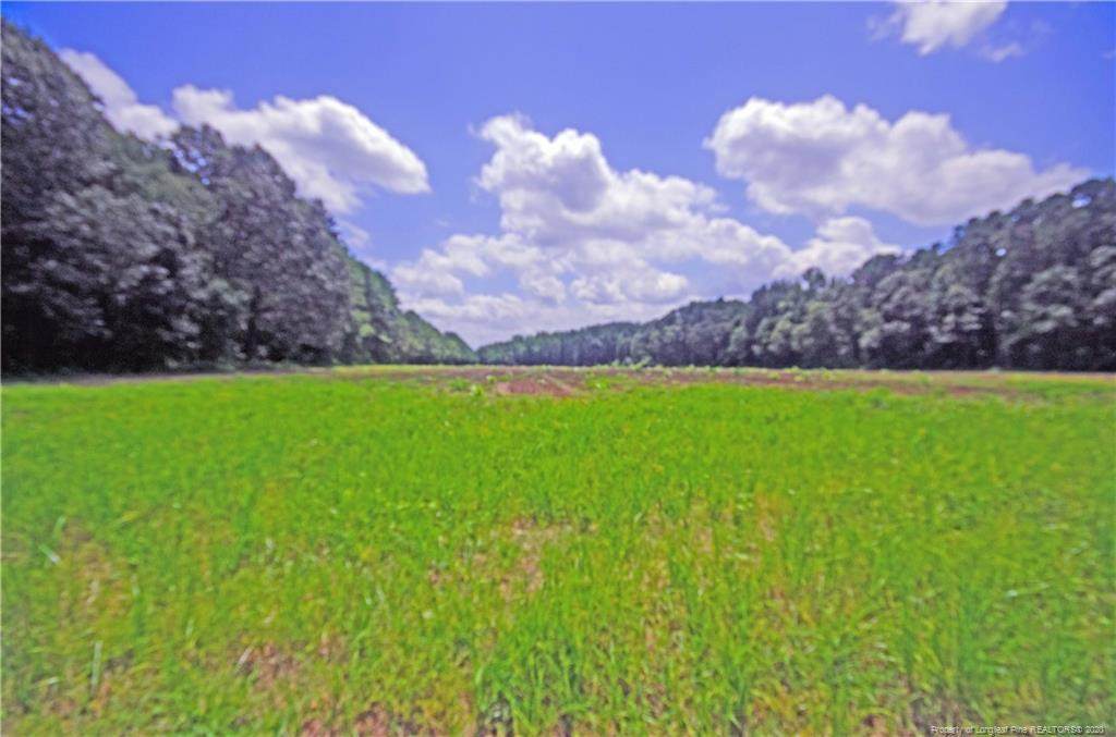 0 Bailey Thomas Road - Photo 1