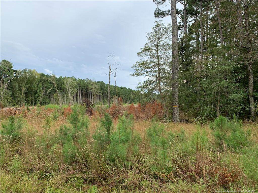 Melstone Drive - Photo 1