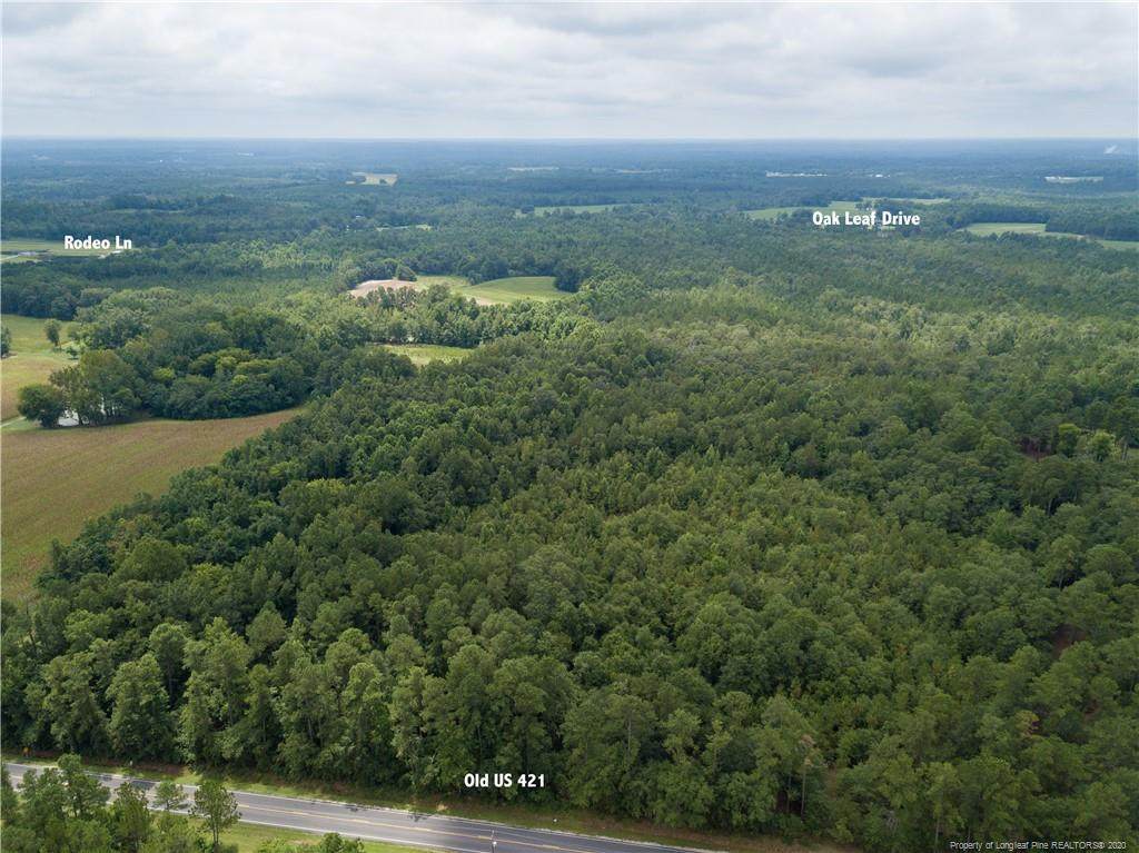 0 Old Us 421 Highway - Photo 1