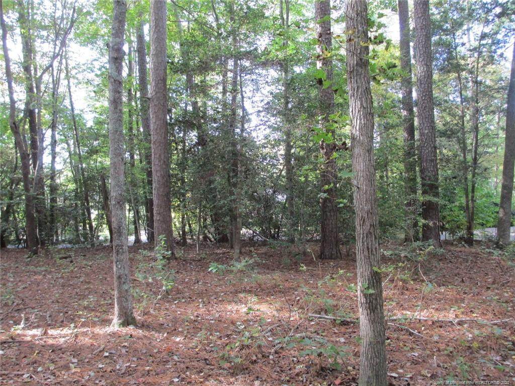 1109 Falling Stream Lane - Photo 1