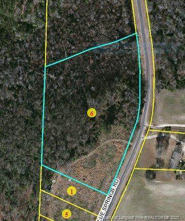 Blue Springs Road - Photo 1