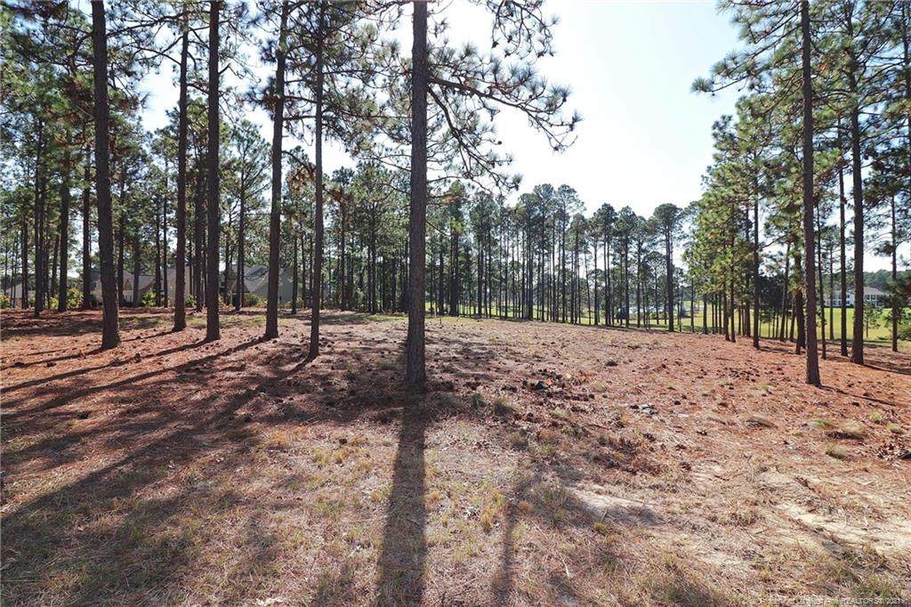 62 Plantation Drive - Photo 1