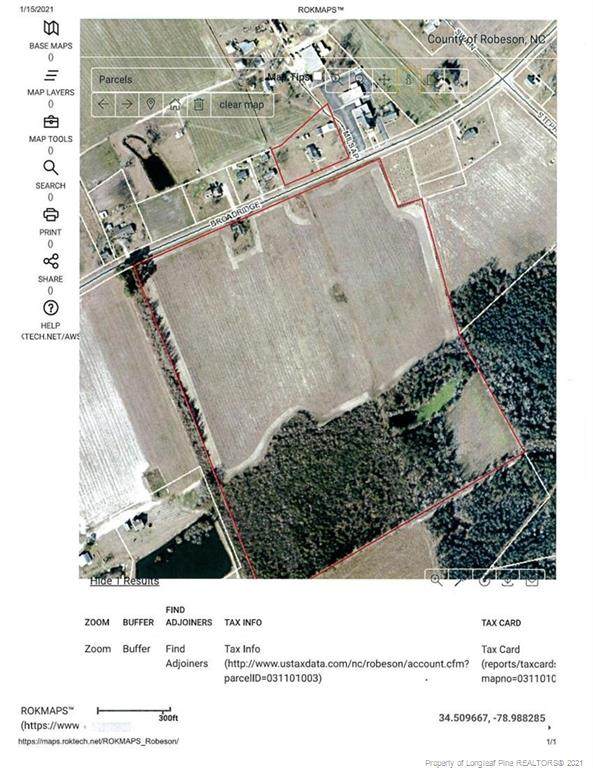 Broad Ridge Road - Photo 1
