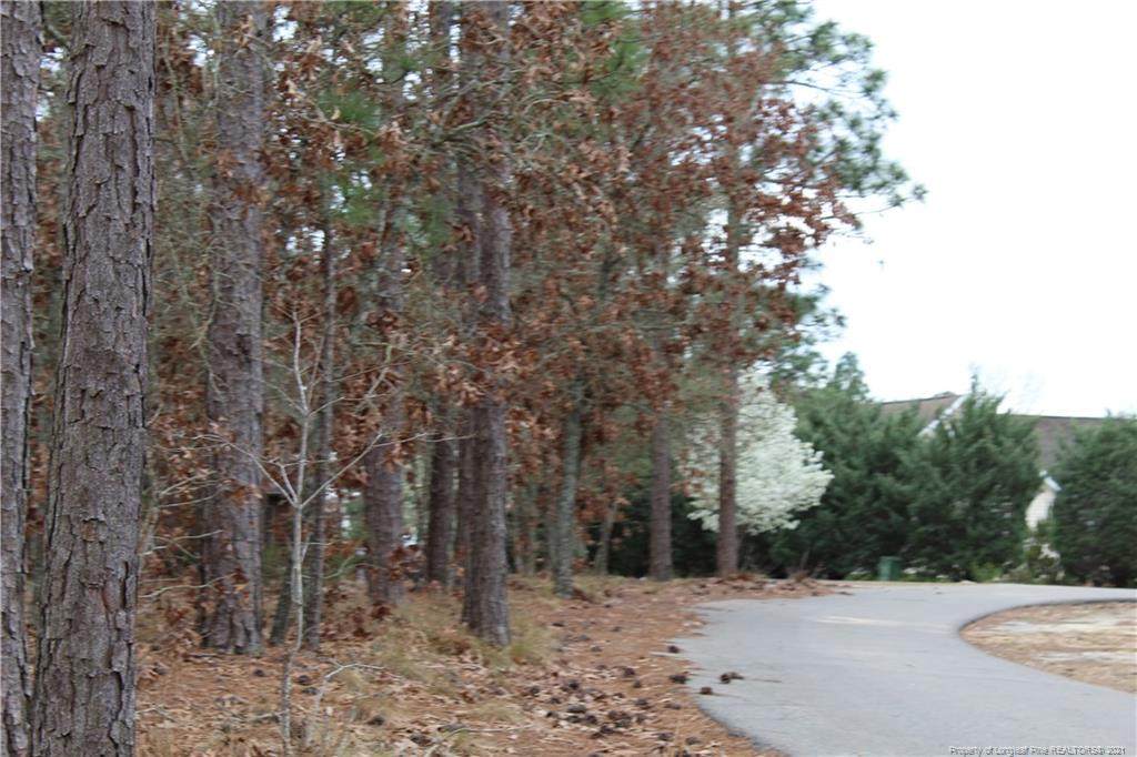 Bluejay Drive - Photo 1