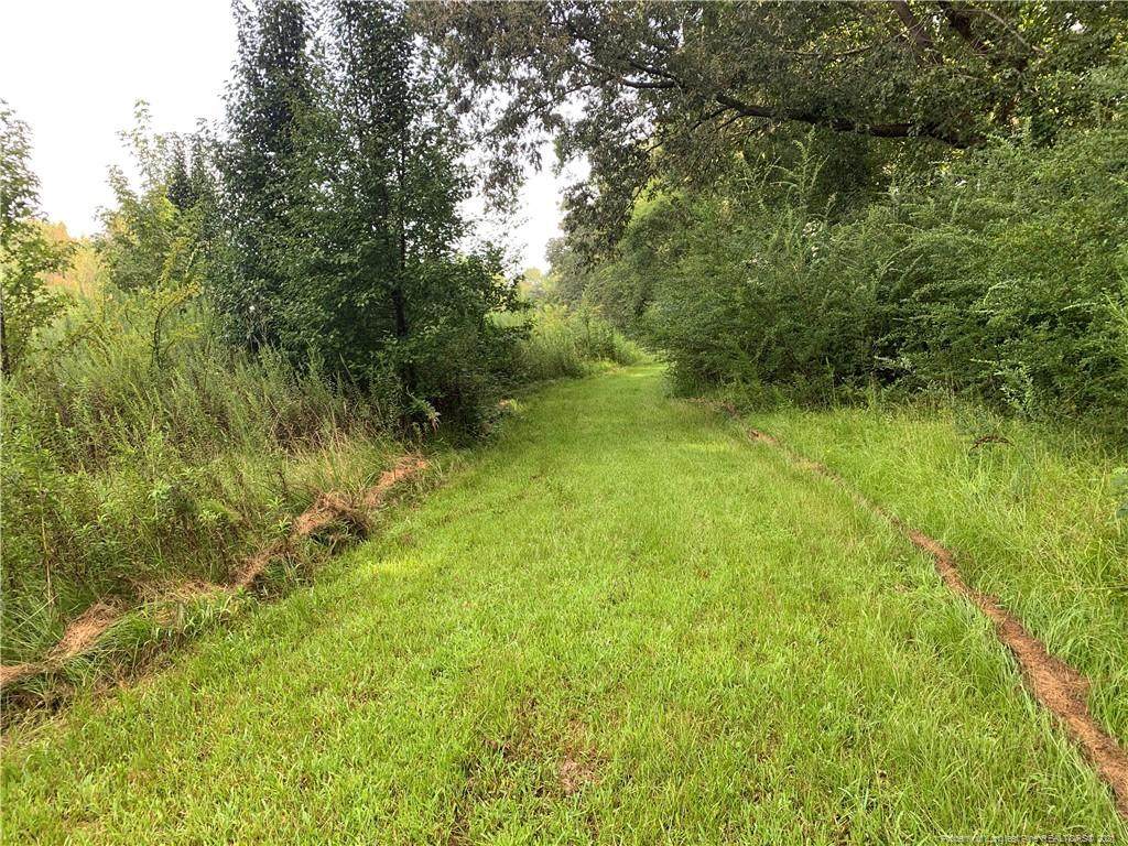 Unnumbered Vacant Lo Munsey Road - Photo 1