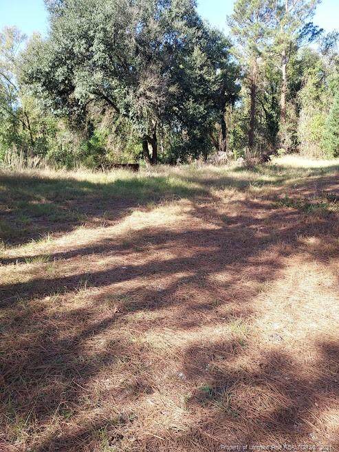 5113 Red Hill Road - Photo 1