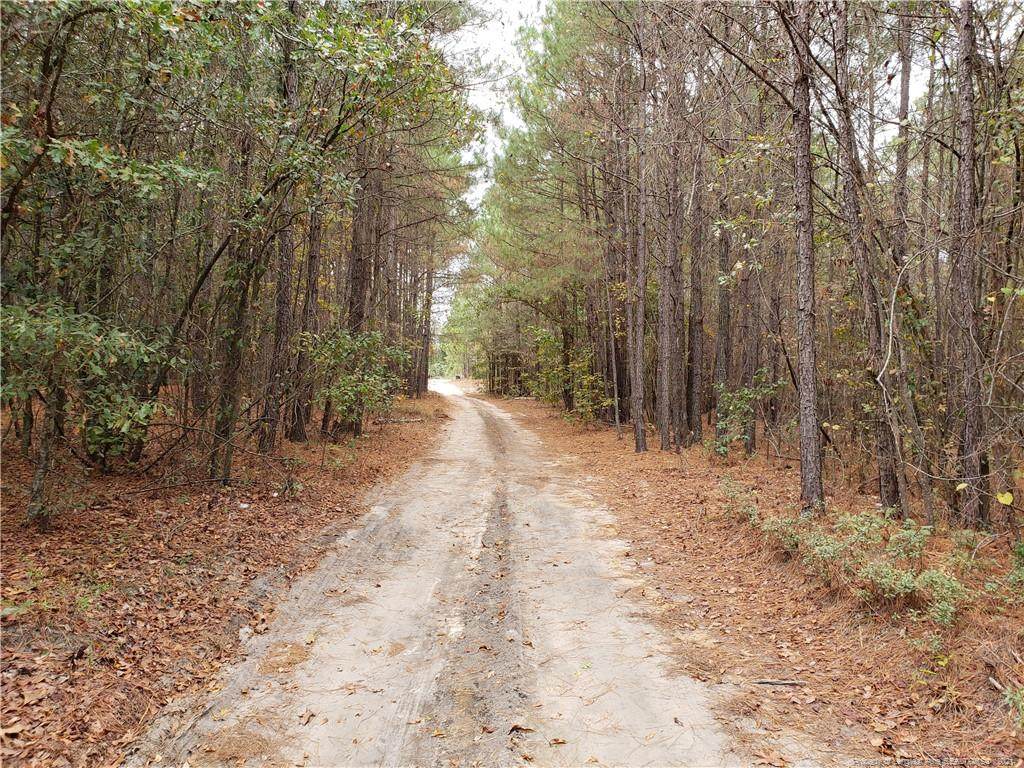0 Clear Water Road - Photo 1