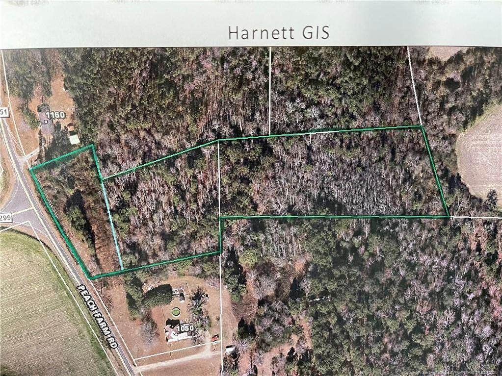 Peach Farm Road - Photo 1