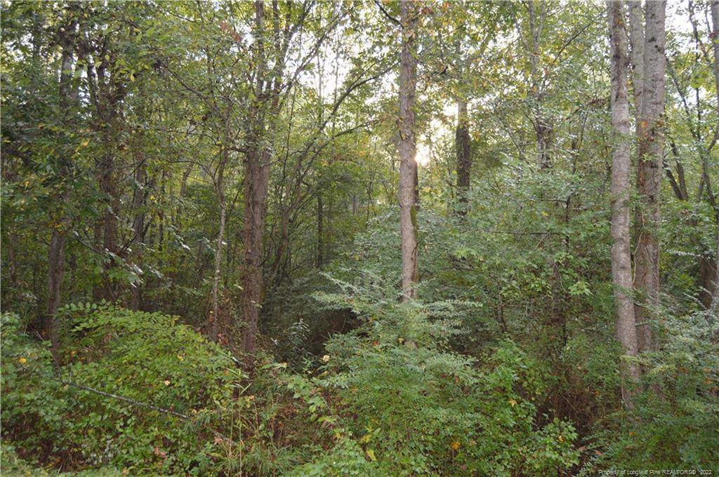 Shaw Road - Photo 1