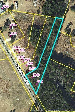 Blue Springs Road - Photo 1