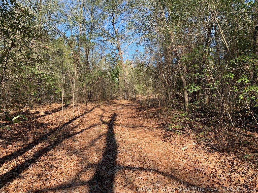 430 Porter Road - Photo 1