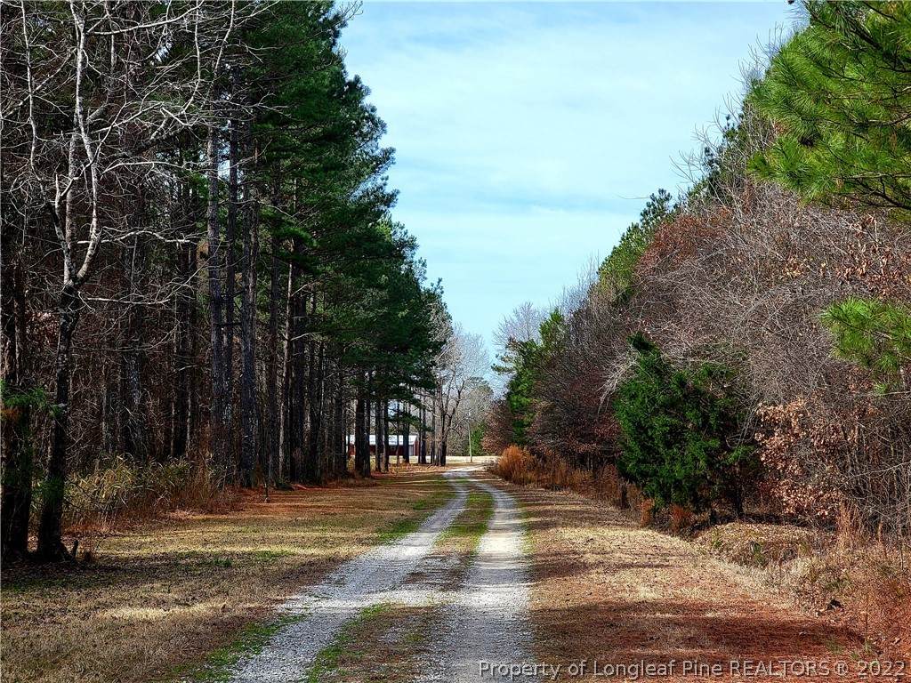 1538 Cedar Creek Rd + 3 Parcels - Photo 1