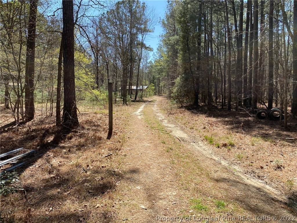 289 Bret Road - Photo 1
