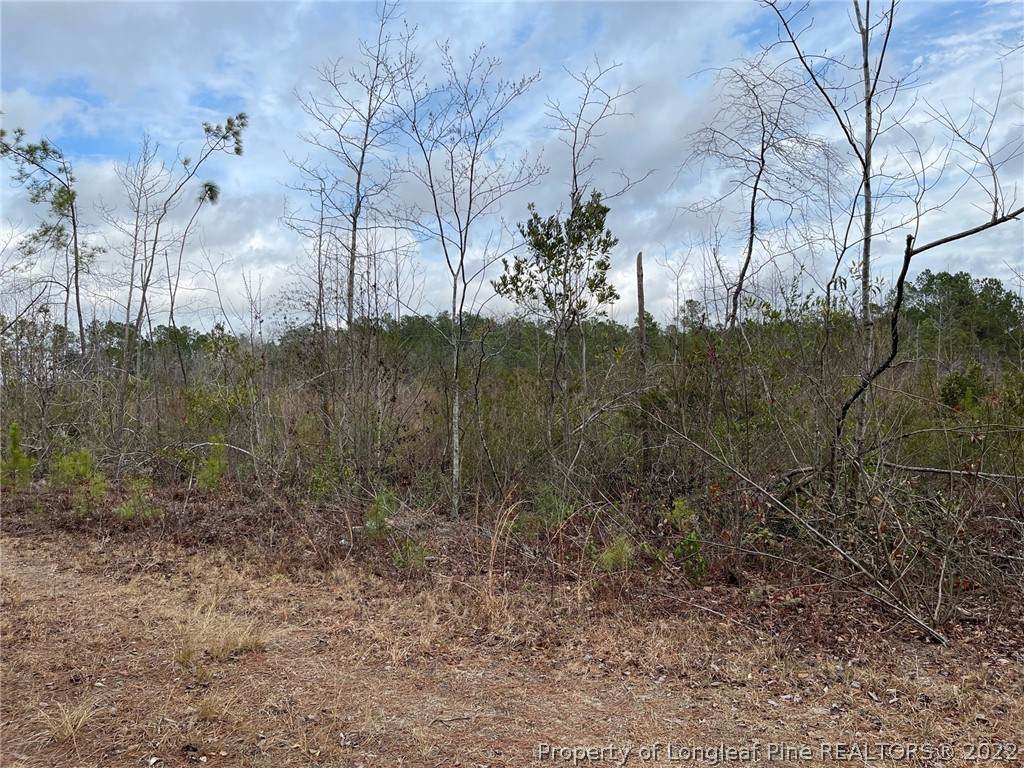 Lot 14 Of The Henry Hughes Dothan Tract - Photo 1