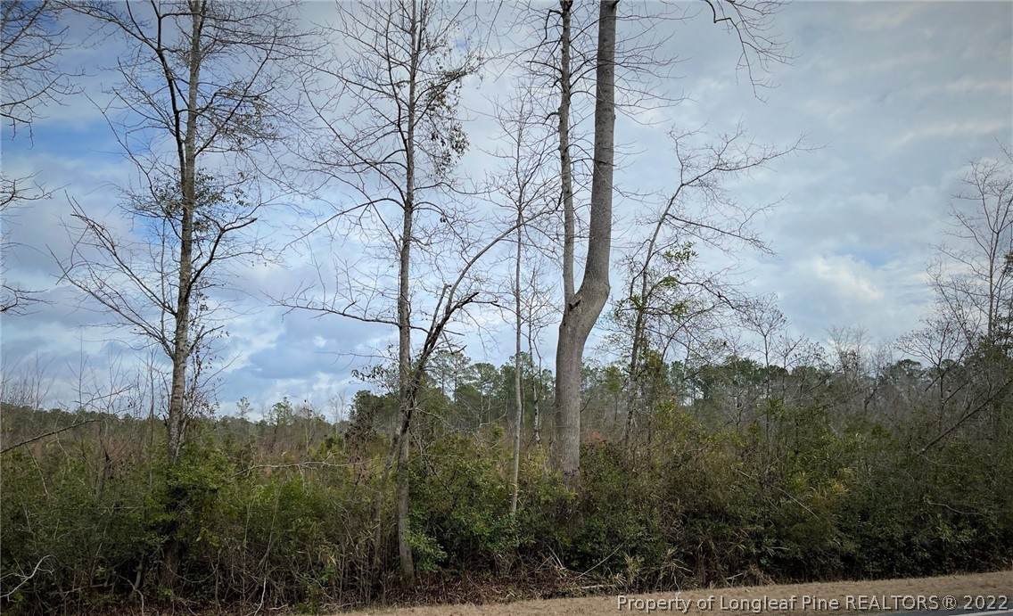 Lot 2 Henry Hughes Dothan Tract - Photo 1