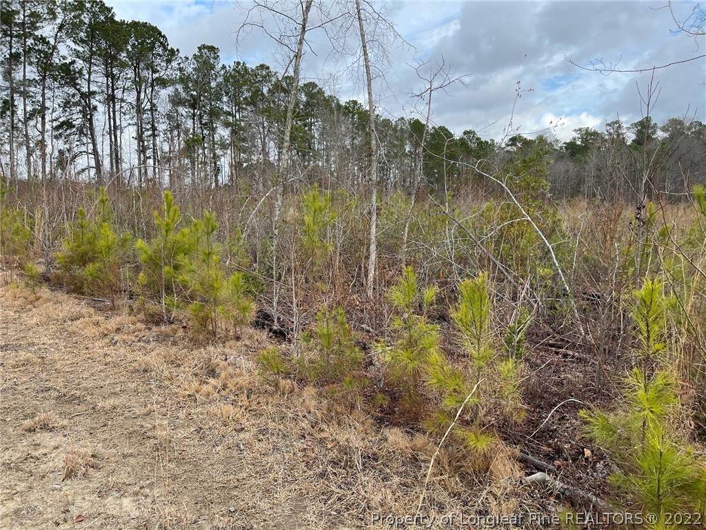 Lot 13 Of Henry Hughes Dothan Tract - Photo 1