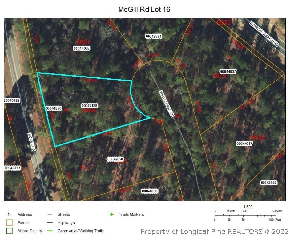 Lot 16 Mcgill Road - Photo 1