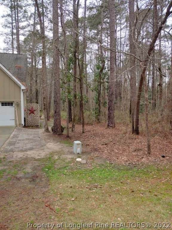 638 Ginesing Drive - Photo 1