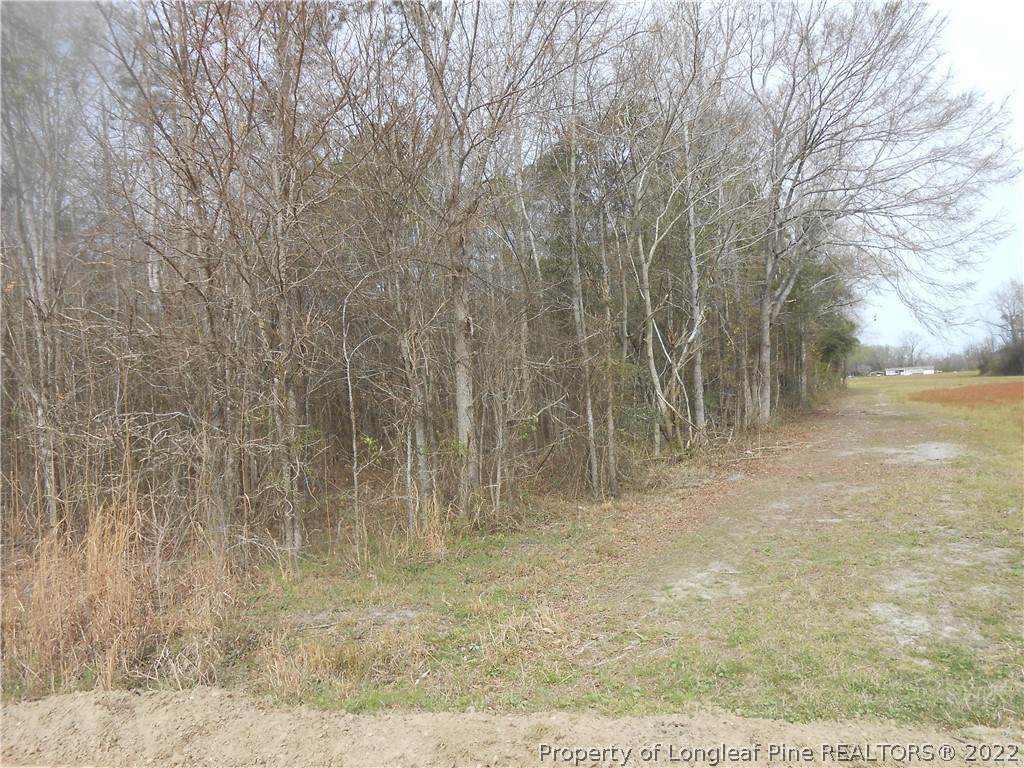 0 Fowler (State Road 2219) Road - Photo 1