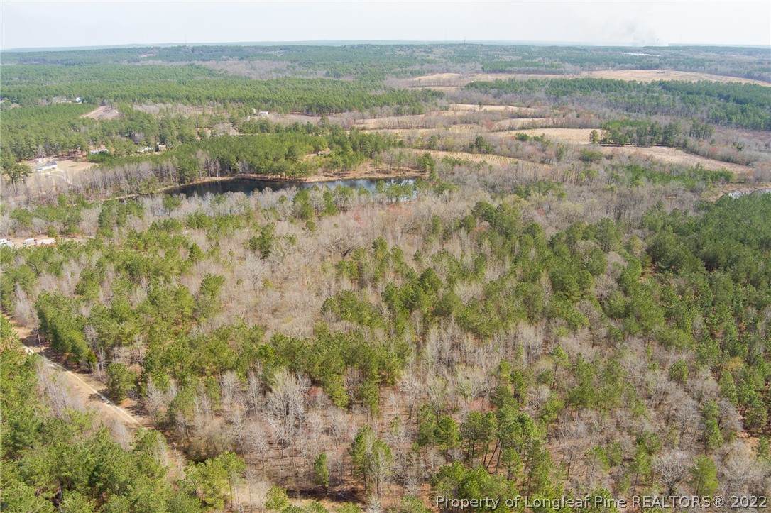 Off Ss Sr 1218 Road - Photo 1