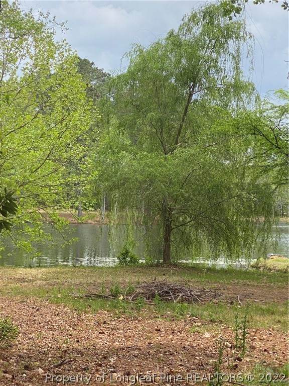 429 Foxwood Drive - Photo 1