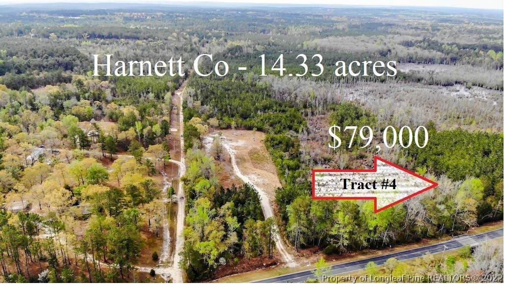 Tract 4 Cameron Hill Road - Photo 1