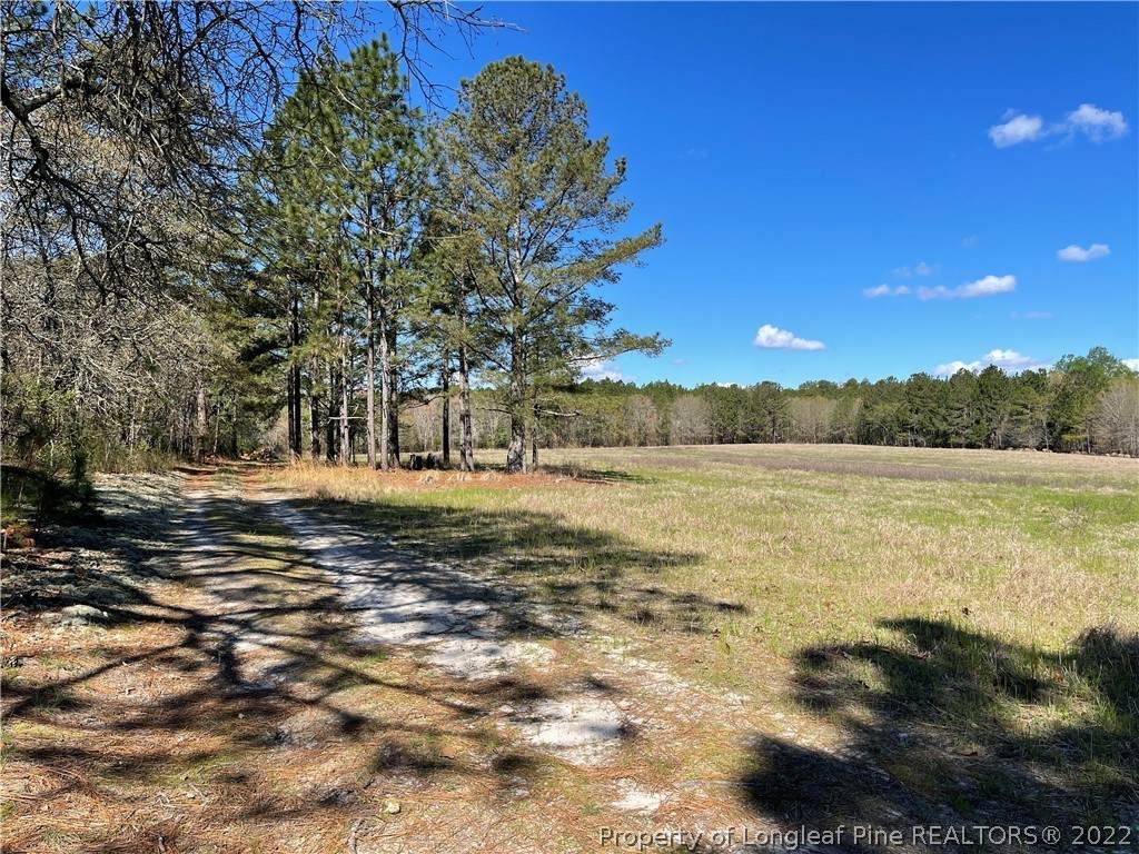 3836 Carthage Road - Photo 1