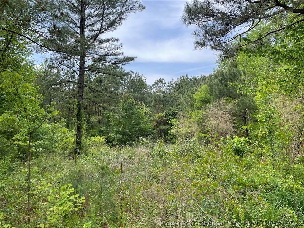 521 Dashland Drive - Photo 1