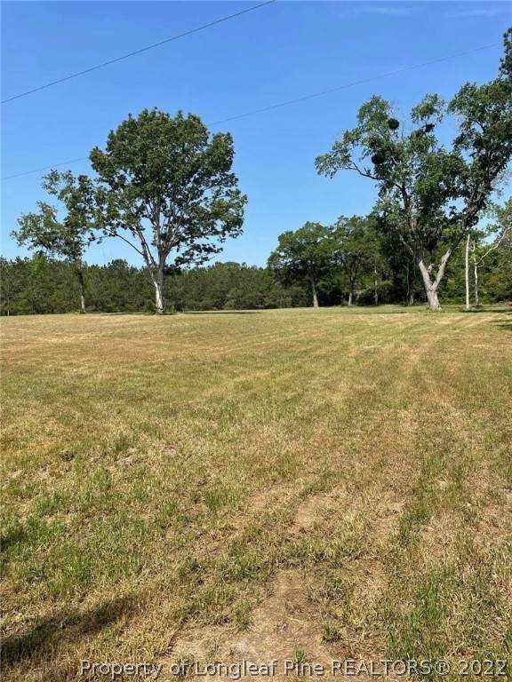 Katie Buie Road - Photo 1