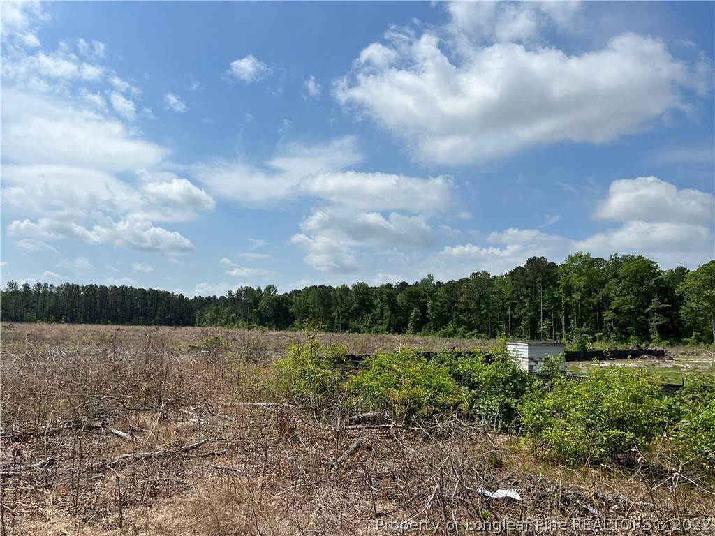 4052 Collier Road - Photo 1