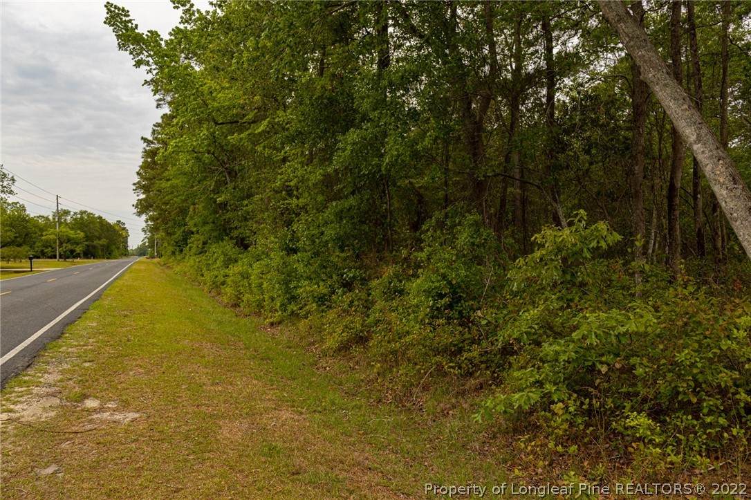 Lot 14 Sibley Road - Photo 1