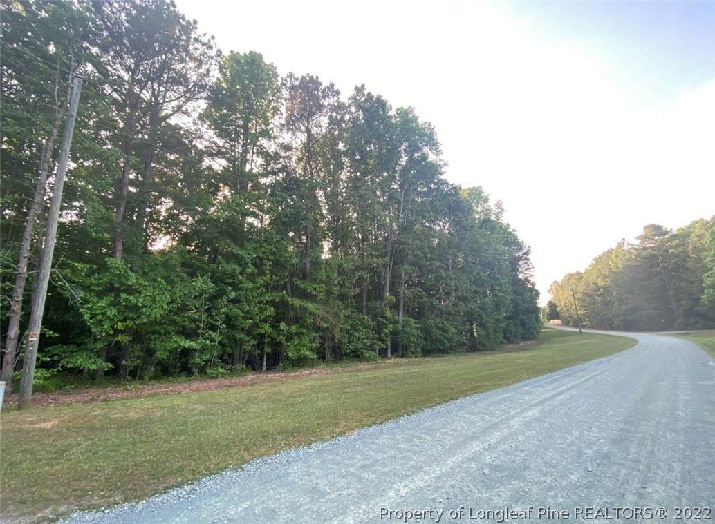 Allen Farm Road - Photo 1