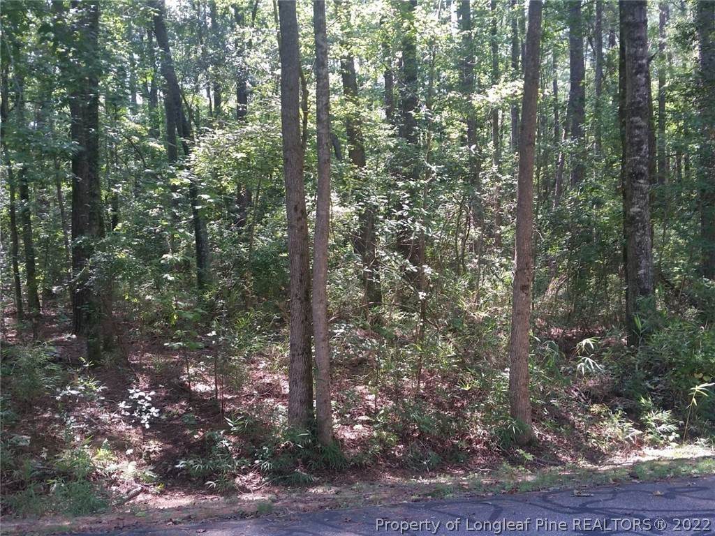 796 Daphne Lane - Photo 1