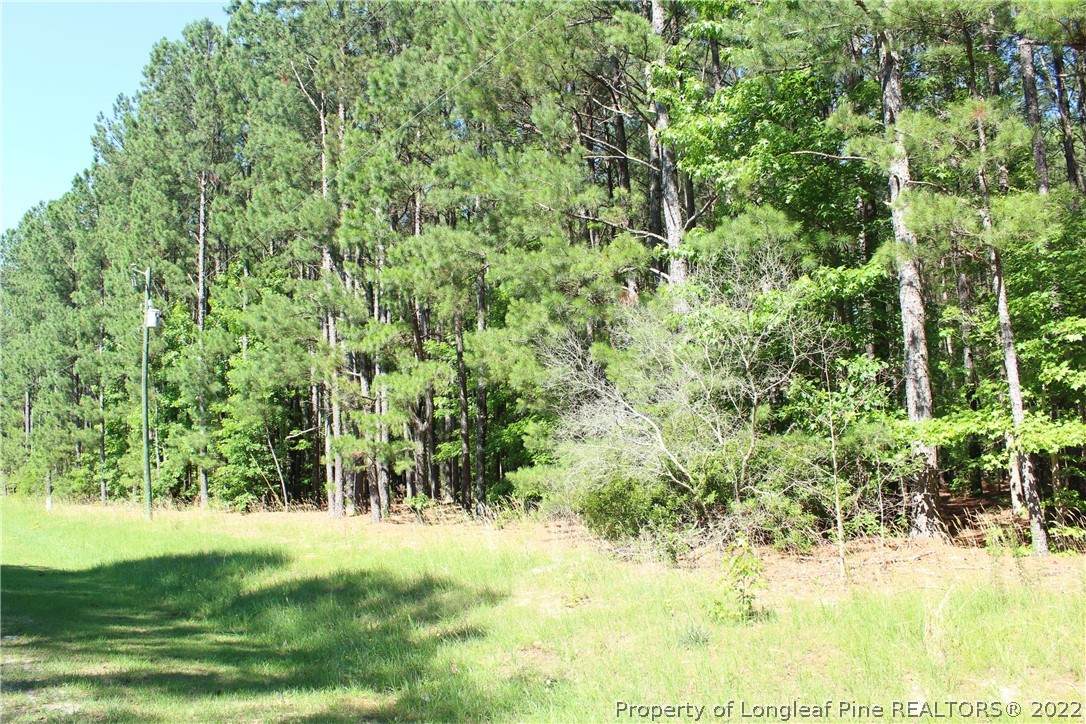 0 Pressly Foushee Road - Photo 1