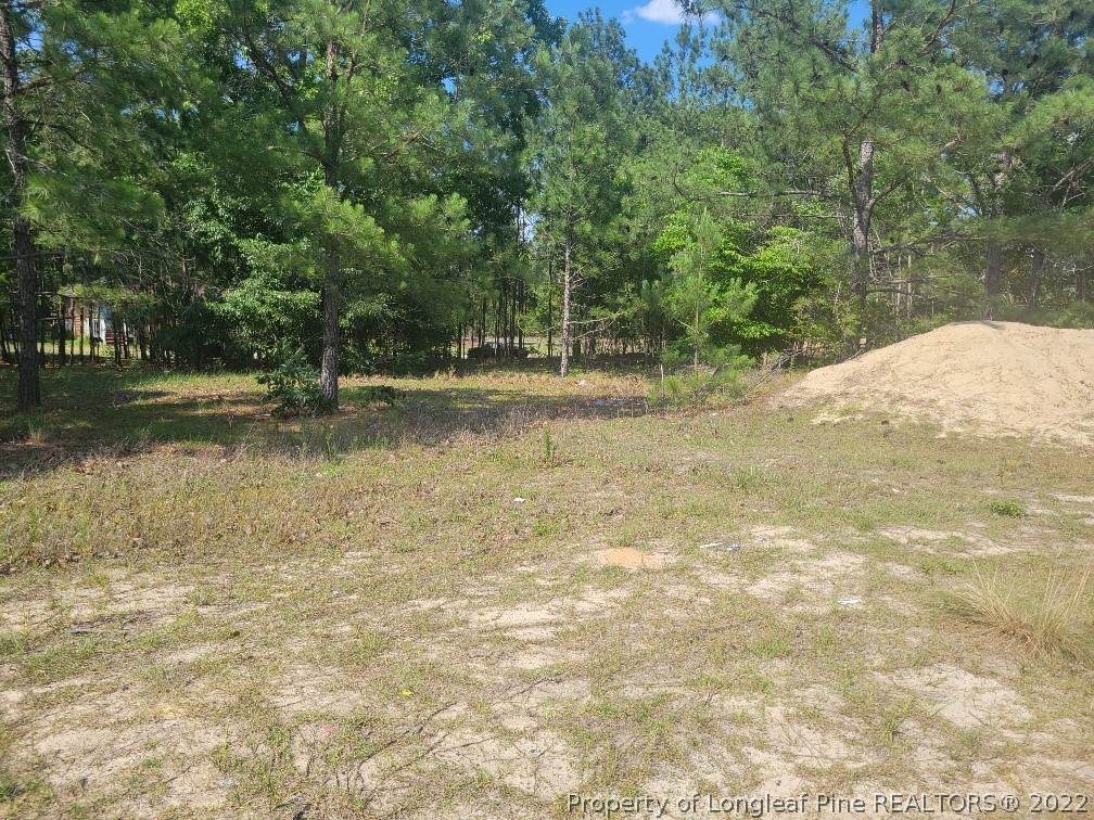 126 Jennifer Road - Photo 1
