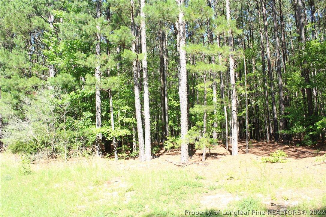 0 Pressly Foushee Road - Photo 1