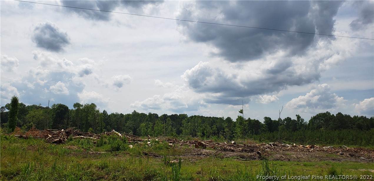 TBD Spring Hill Church Road - Photo 1