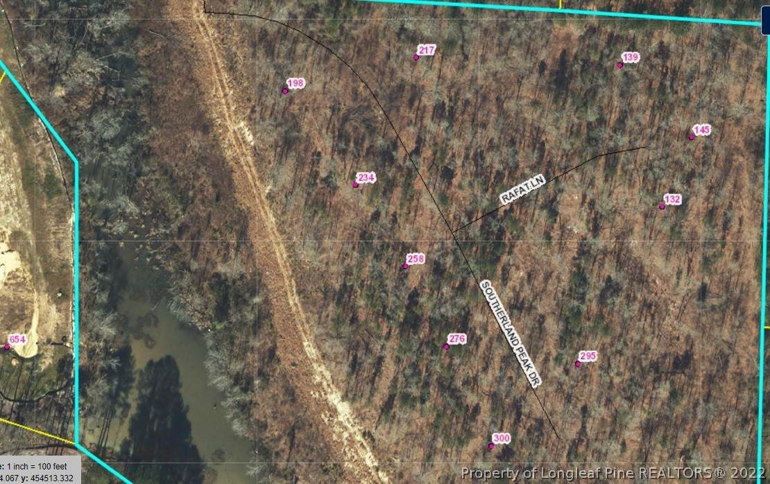 tbd Southerland Peak Drive - Photo 1