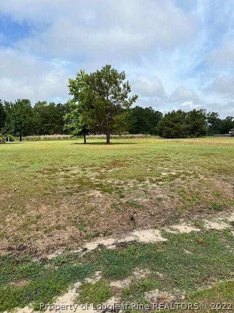 Lot #19 Smith Mill Road - Photo 1