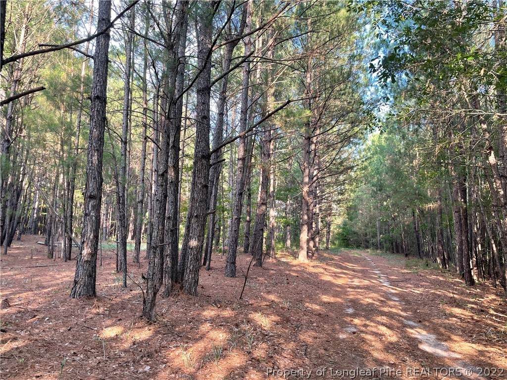 7106 Wire Grass Road - Photo 1