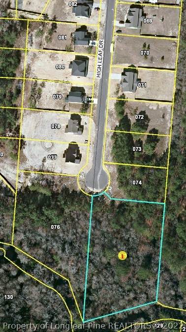 lot 9 High Leaf Drive - Photo 1