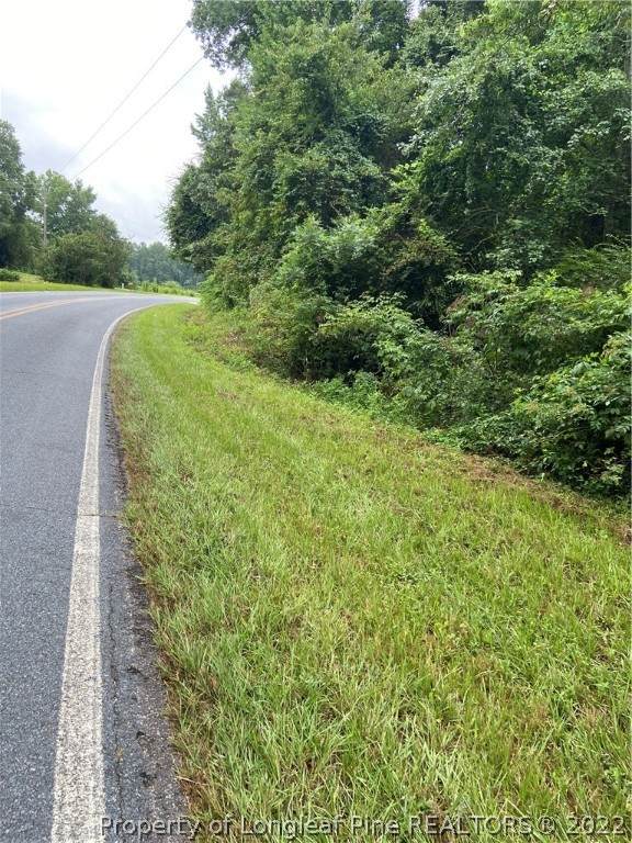 Blue Springs Road - Photo 1