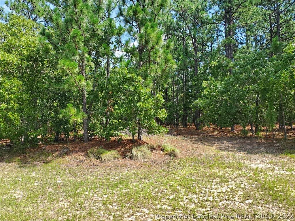530 Swan Island Court - Photo 1