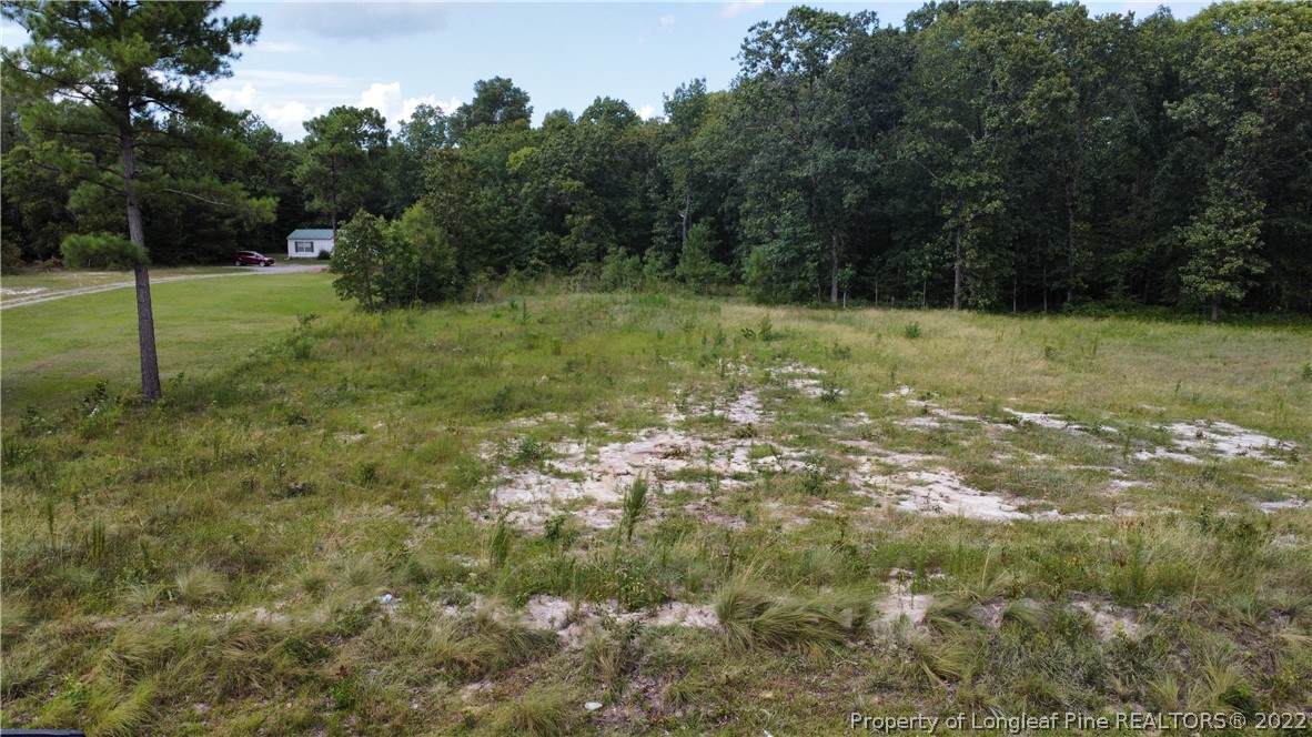 Lot #3 D L Phillips Lane - Photo 1