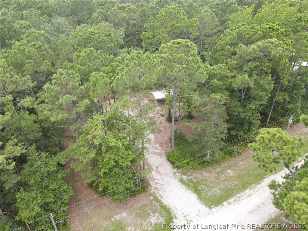 2125 Birch Street - Photo 1