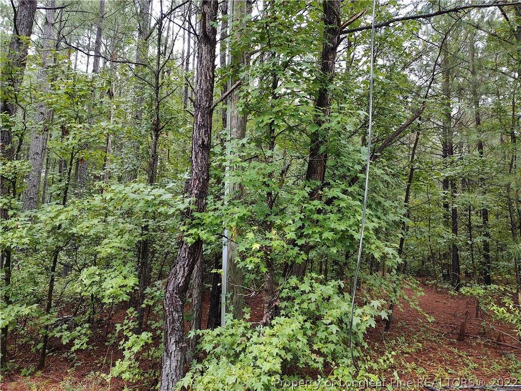 10290 Colliers Chapel Church Road - Photo 1